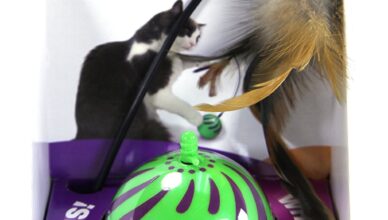 smartykat feather whirl