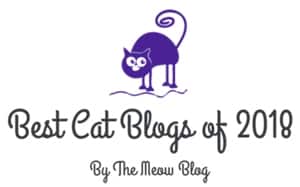 Best Cat Blogs of 2018 - The Meow Blog - Top Pick