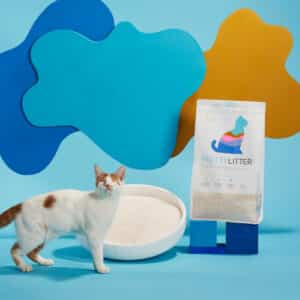 Read more about the article Pretty Litter Review: 5 Things I Loved [2023]