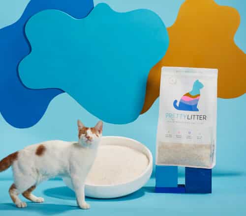 Pretty Litter Review