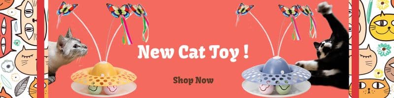 Pretty Litter Review 5 Things I Loved 2023 Caroline s Cats Cat Blog