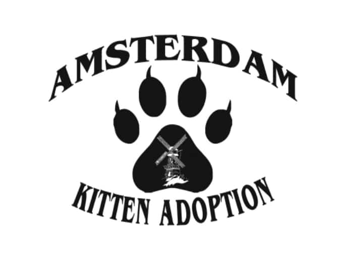 Amsterdam Kitten Adoption